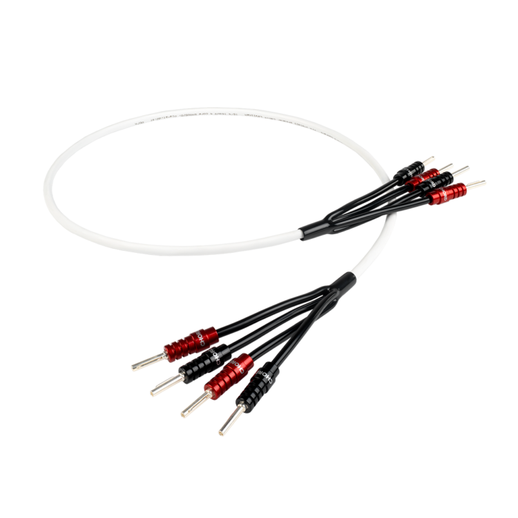 LeylineX x4